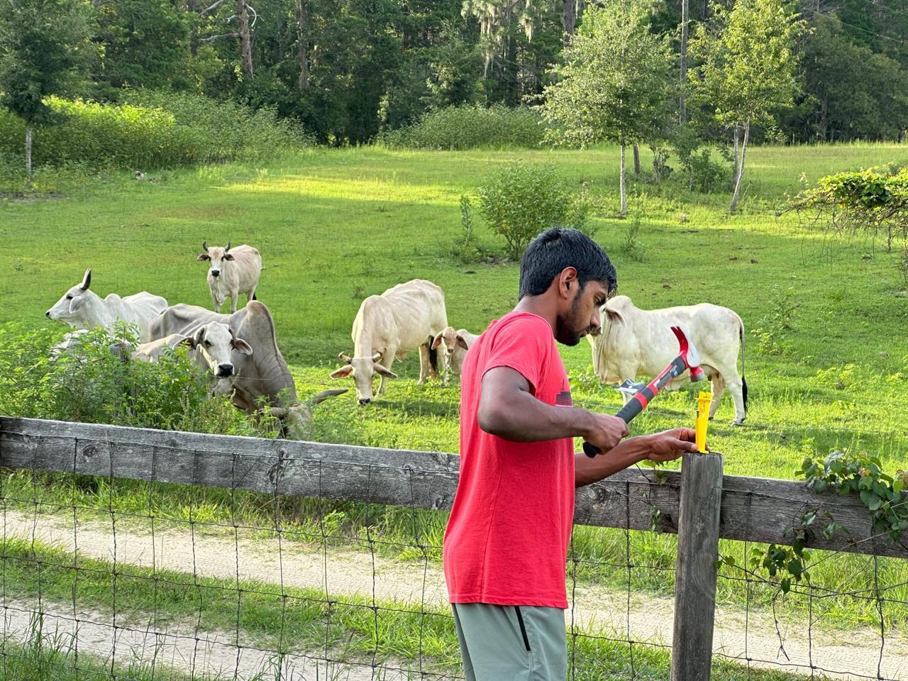 JR's and Paige's Farm